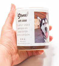 Mascotas - Personalizable
